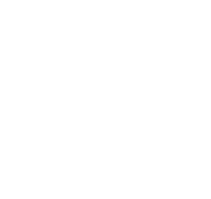 Regional Business Partner Network Manawatu